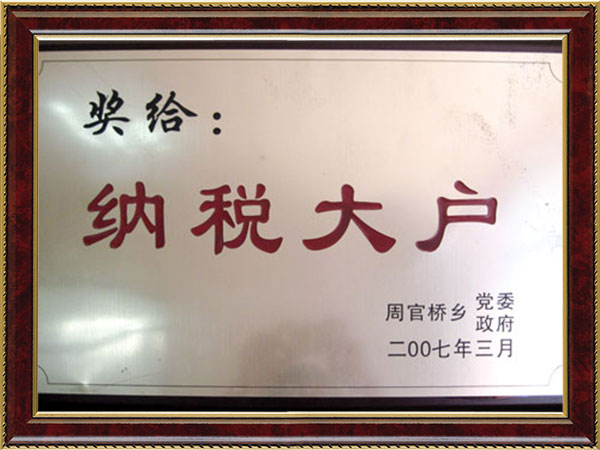 2007年納稅大戶
