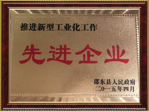 2015年先進企業(yè)